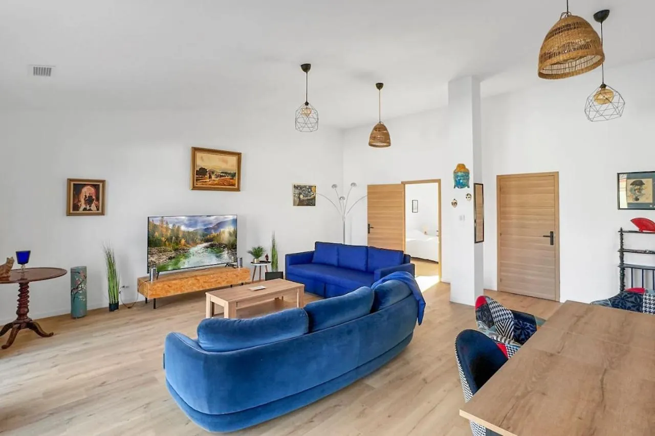 Grande Villa De 400M2 21 Personnes En Centre Ville De Toulouse location